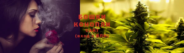 ПСИЛОЦИБИНОВЫЕ ГРИБЫ Баксан