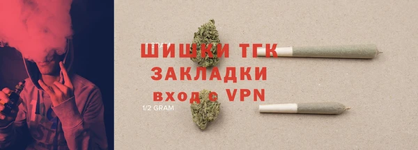 ПСИЛОЦИБИНОВЫЕ ГРИБЫ Баксан
