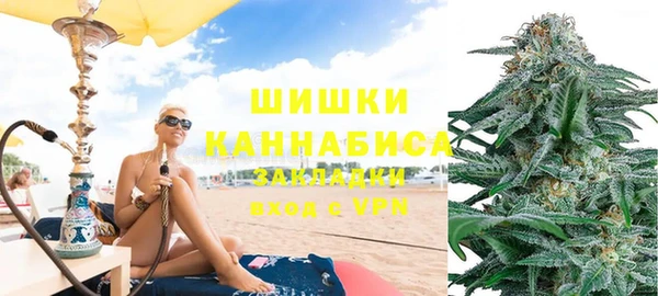 ПСИЛОЦИБИНОВЫЕ ГРИБЫ Баксан