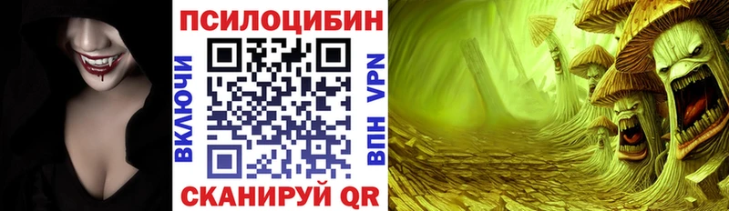 магазин    Курганинск  Псилоцибиновые грибы GOLDEN TEACHER 